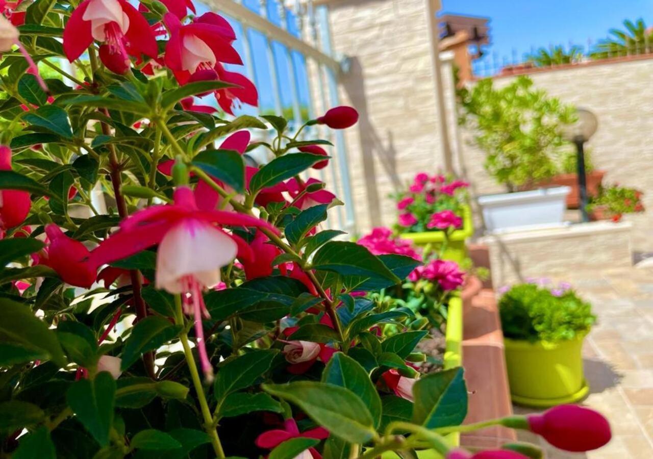 سورسو Lalu'S B&B المظهر الخارجي الصورة